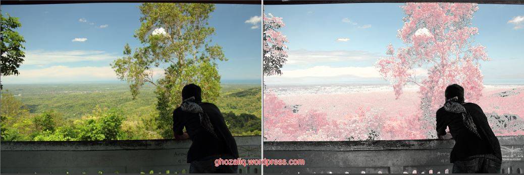 free picture style canon