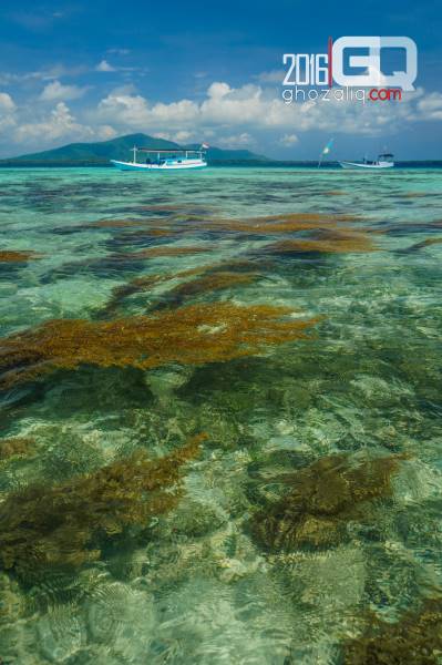 Backpacket karimunjawa wisata bahari pulau sintok