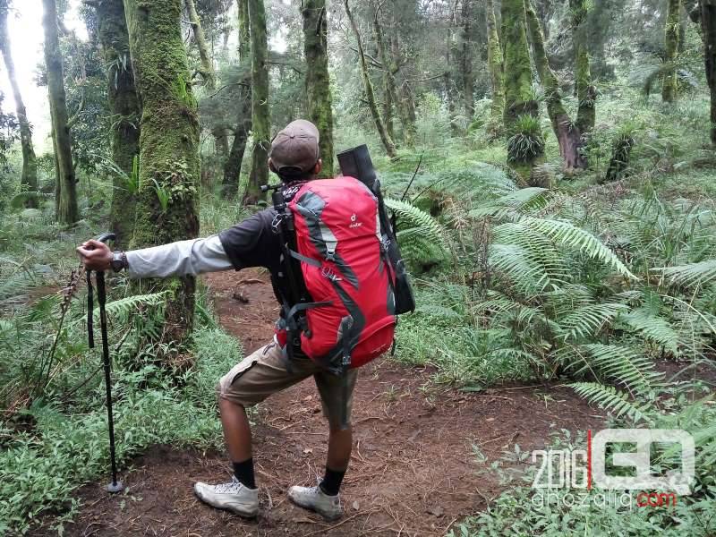 Read more about the article Review dan Pengalaman Memakai Deuter Futura Pro 42 Untuk Pendakian Gunung