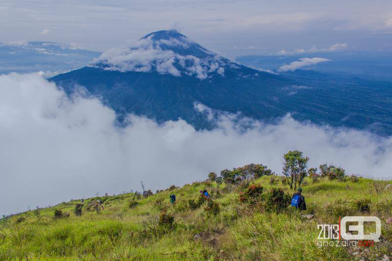 Pendakian Gunung Sindoro via Kledung Temanggung Jawa Tengah