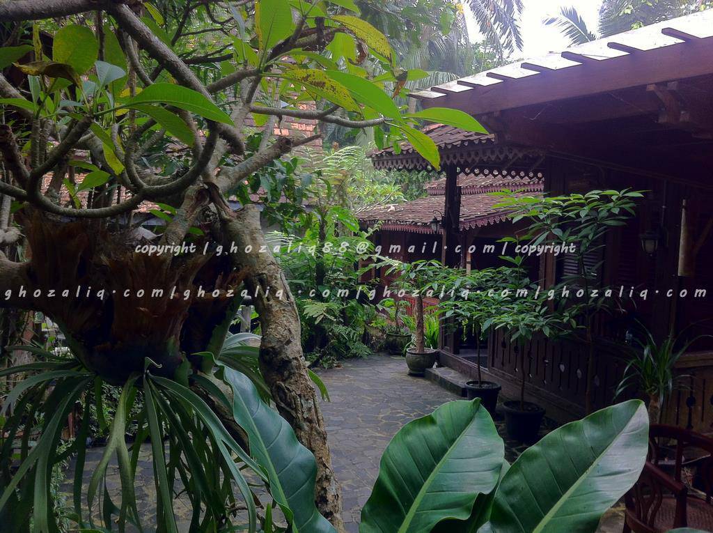 Read more about the article Pengalaman Menginap Semalam di Kampung Labasan Resort Bersama Keluarga.